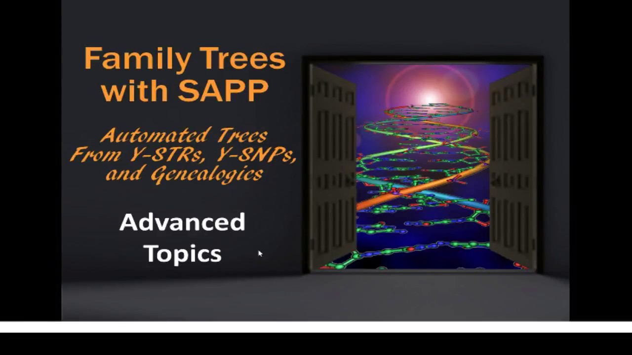 SAPP - Advanced Topics