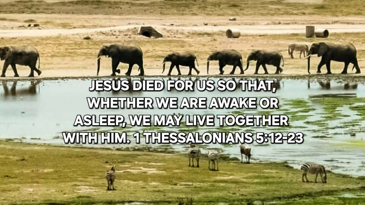 Living For Jesus! 🧔‍♀️ Our Daily Bread! 🍞 Scripture: 1 Thessalonians 5:12-23 📖 Prayer Requests! 🙏
