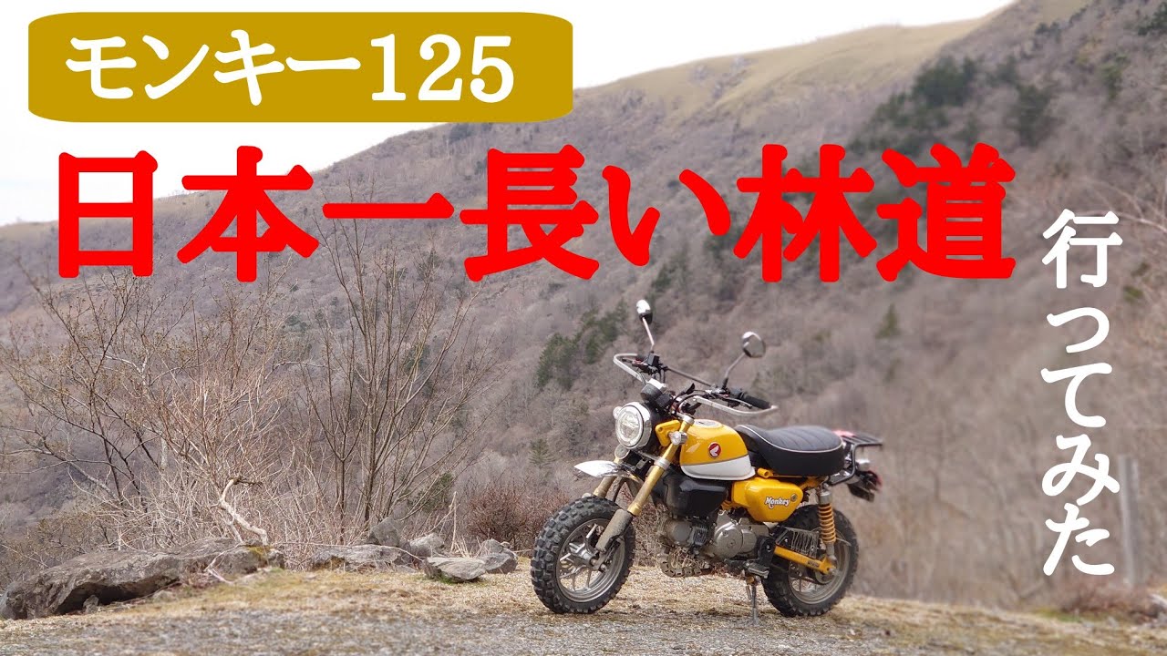 《モンキー125》日本一長い林道へ行ってきた！