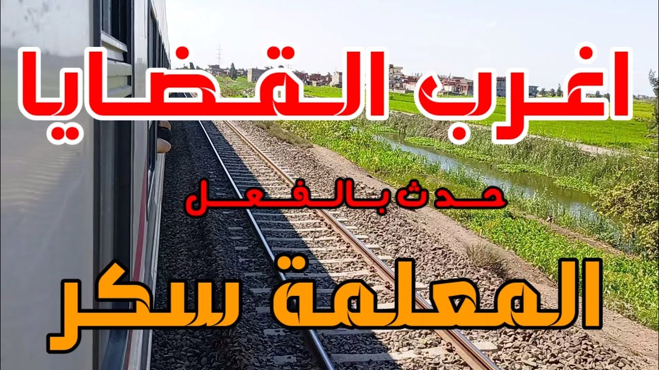 #اغرب_القضايا ...( المعلمة سكر  )