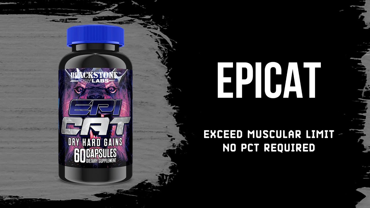 Epicat | Epic Growth
