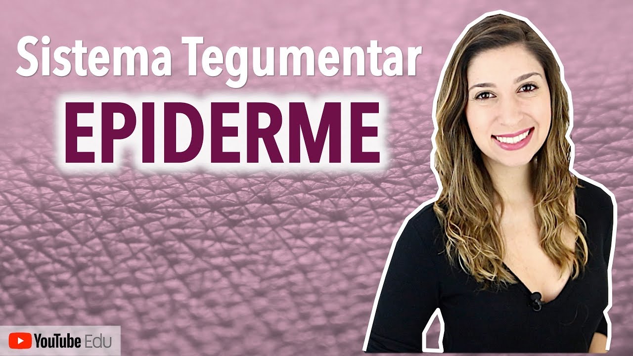 Epiderme: Sistema Tegumentar 2/4 | Anatomia etc