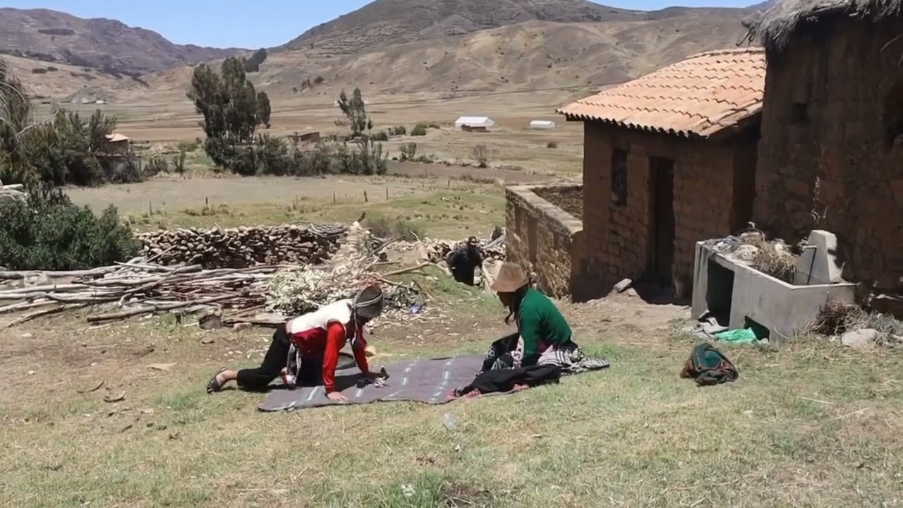 celestino  cae en las manos  de la policía  por culpa de maría Virgiñia #abuelita santusa
