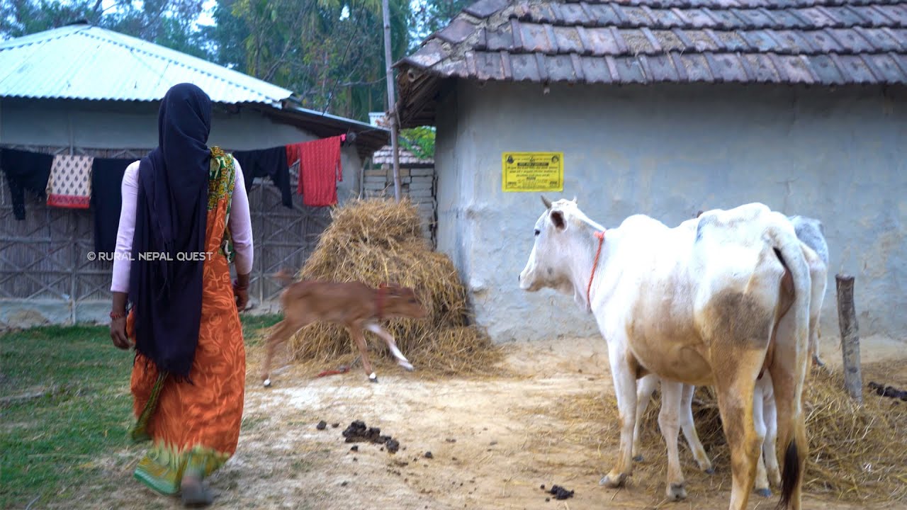 Visit Rural Nepal || EP - 56 || Saptari , Rural Nepal ||