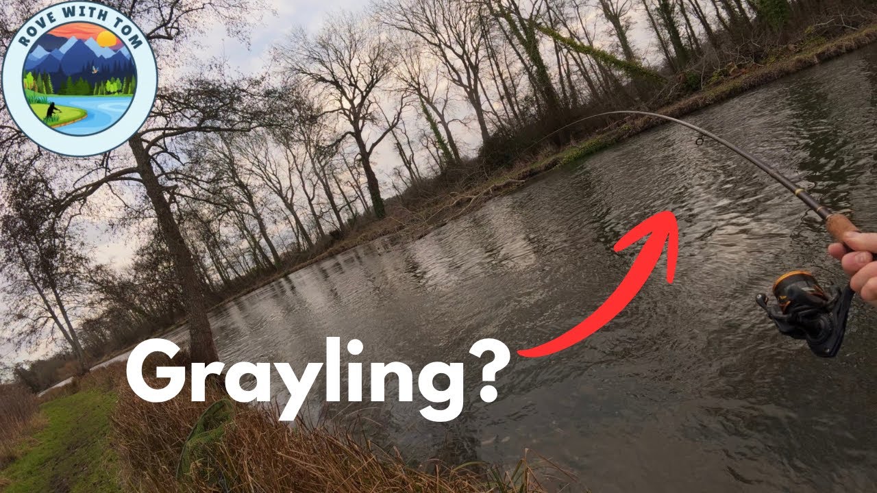 River Test - Timsbury Fishing