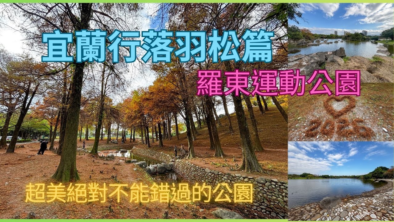 20260114萬ㄟeye台灣～宜蘭行落羽松篇～羅東運動公園落羽松/請打開CC字幕   4K
