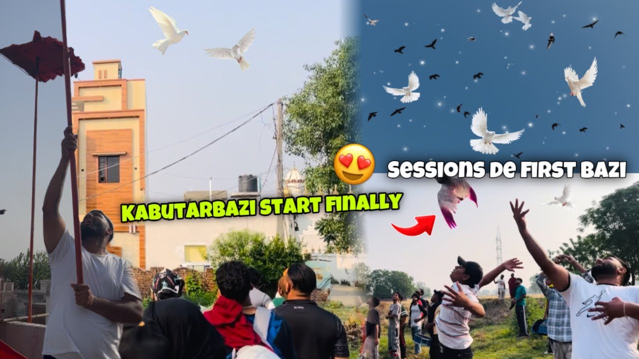 Kabutarbazi Start Finally 😍 Session de First bazi 2025 | Kabutarbazi 2025  | @sandeeptaggar295
