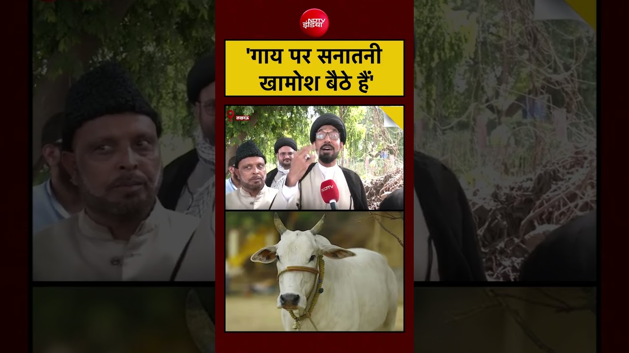 Syed Suhail | 'गाय पर सनातनी खामोश बैठे हैं' #shorts #bakrid #viral #upnews #cow #cmyogi #muslims