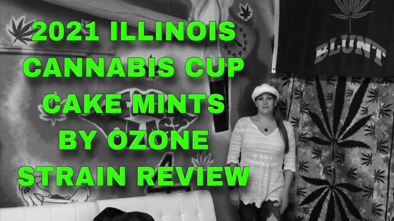 Cake Mints by Ozone Strain Review for the 2021 High Times Illinois Cannabis Cup