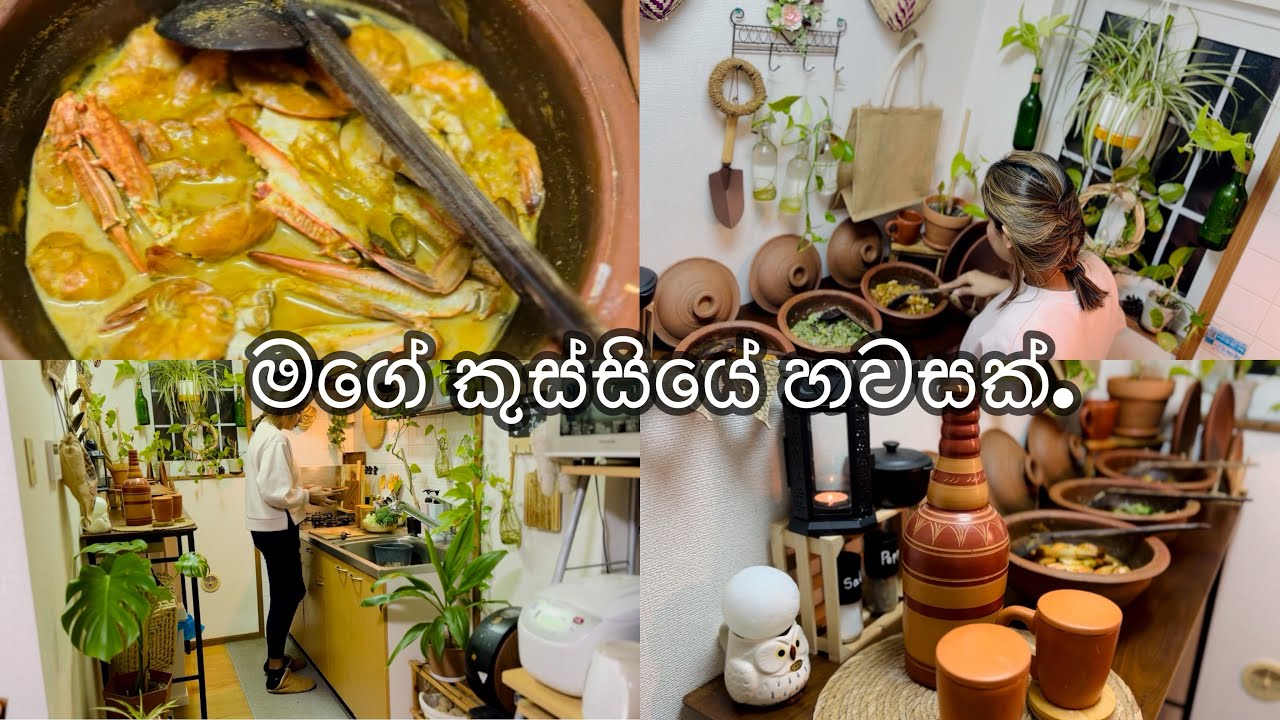 මගේ කුස්සියේ හවසක්🥘🍃|meal prep|Day in my life|Life in japan🇱🇰🇯🇵