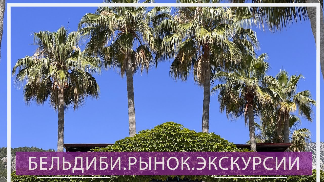 Бельдиби.Рынок.Экскурсии