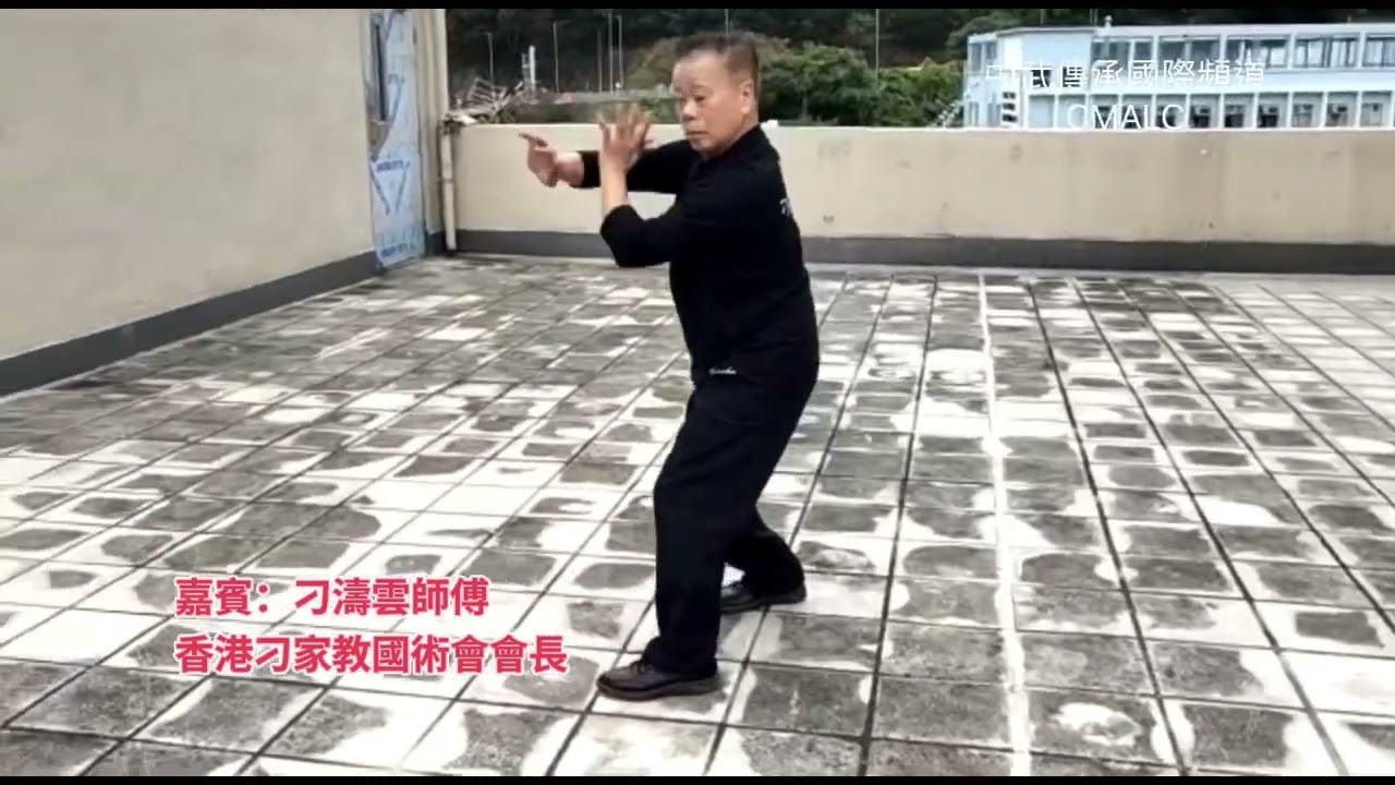 嘉賓 ：刁濤雲師傅  香港刁家教國術會會長