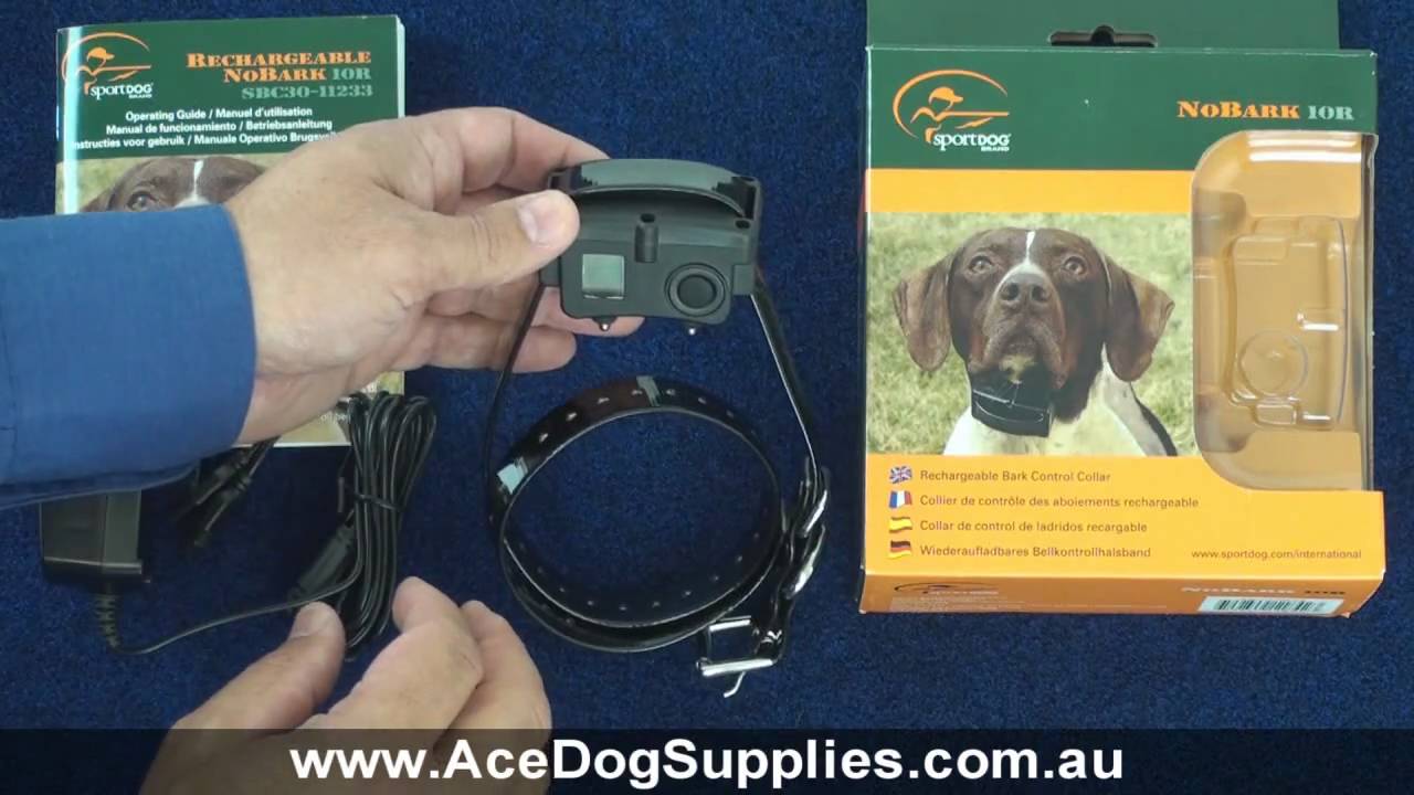 Bark Collar Review - SportDog SBC-10