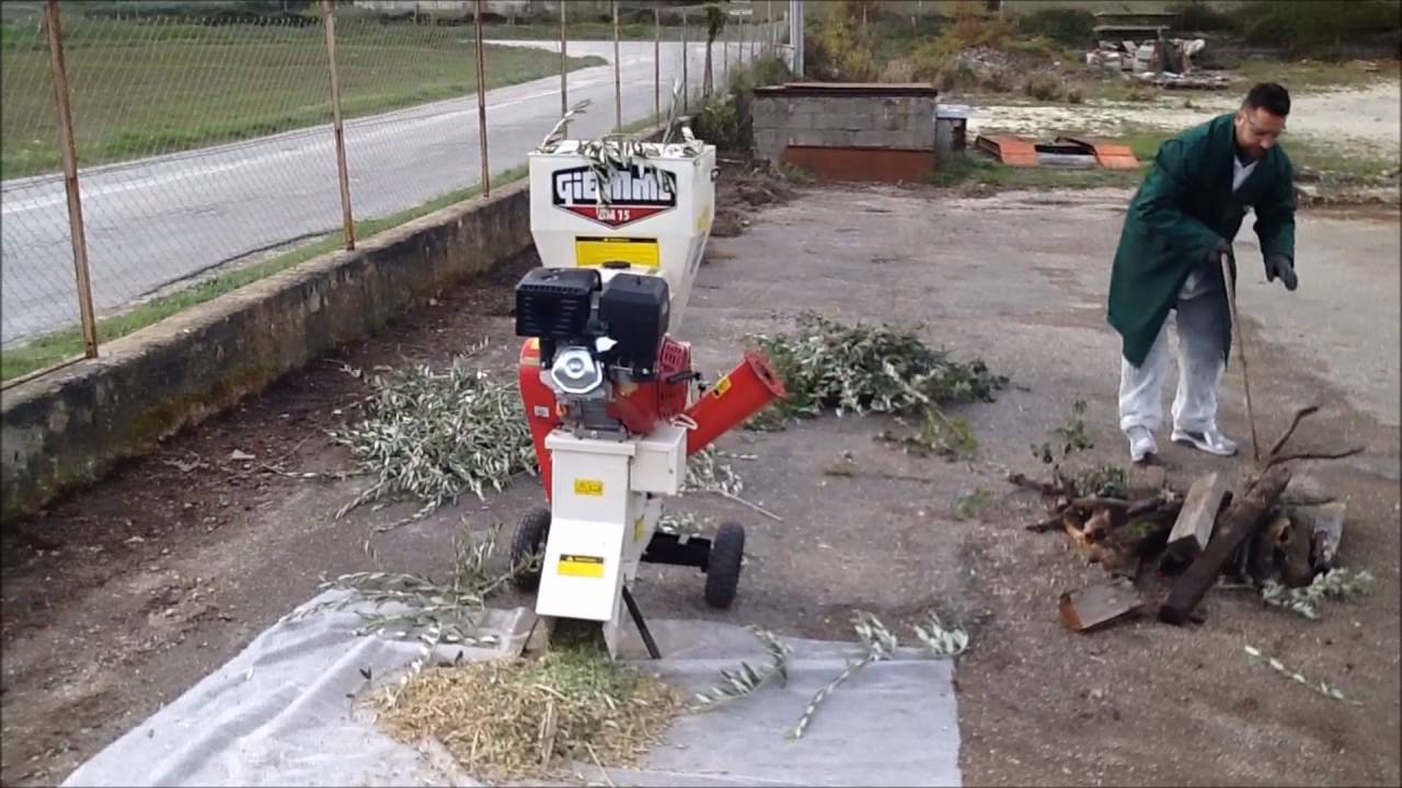 Biotrituratore BM 15 GIEMME con avviamento elettrico