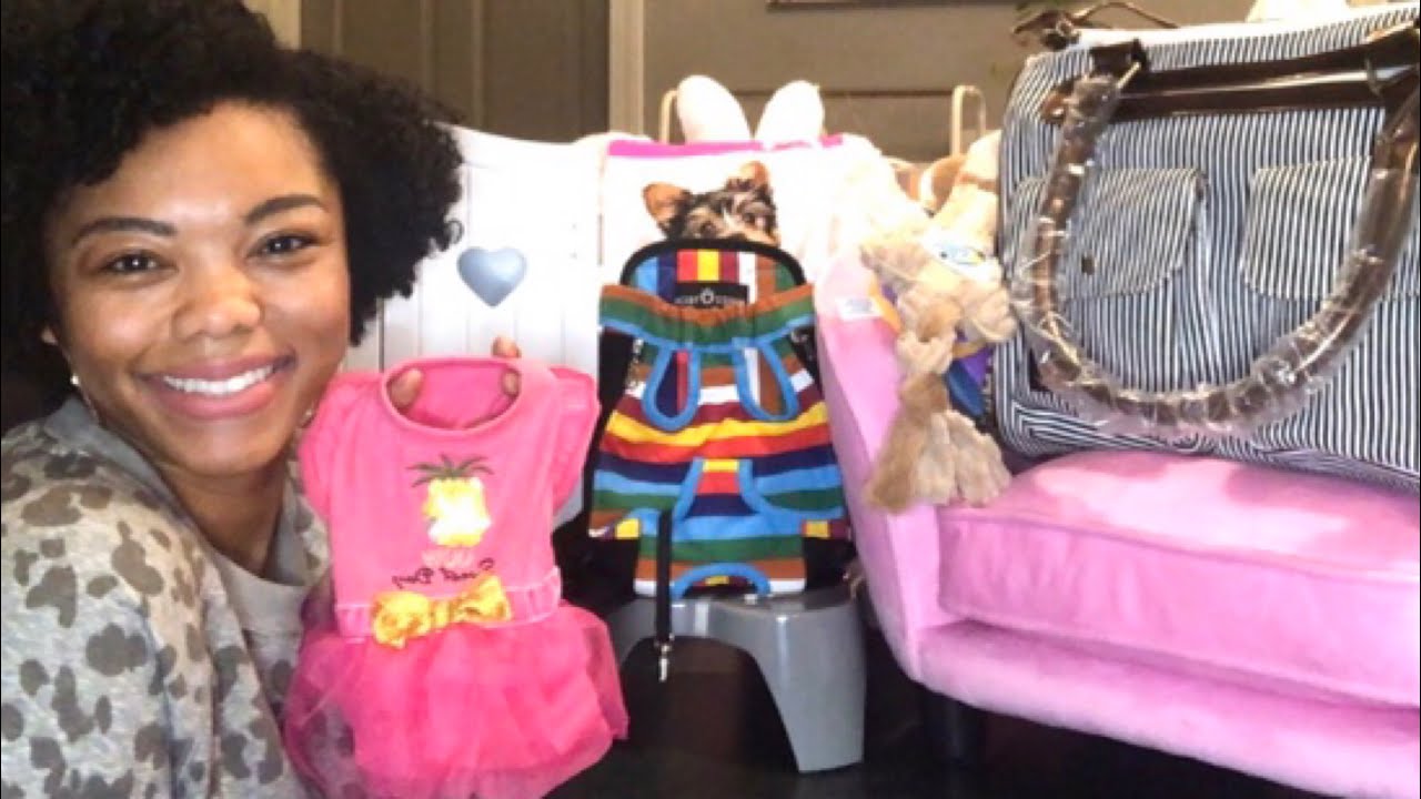 HUGE PUPPY HAUL!!! | YORKIE EDITION 2021 | PART 1| #yorkie #puppy  #haul  #CommissionsEarned #ad