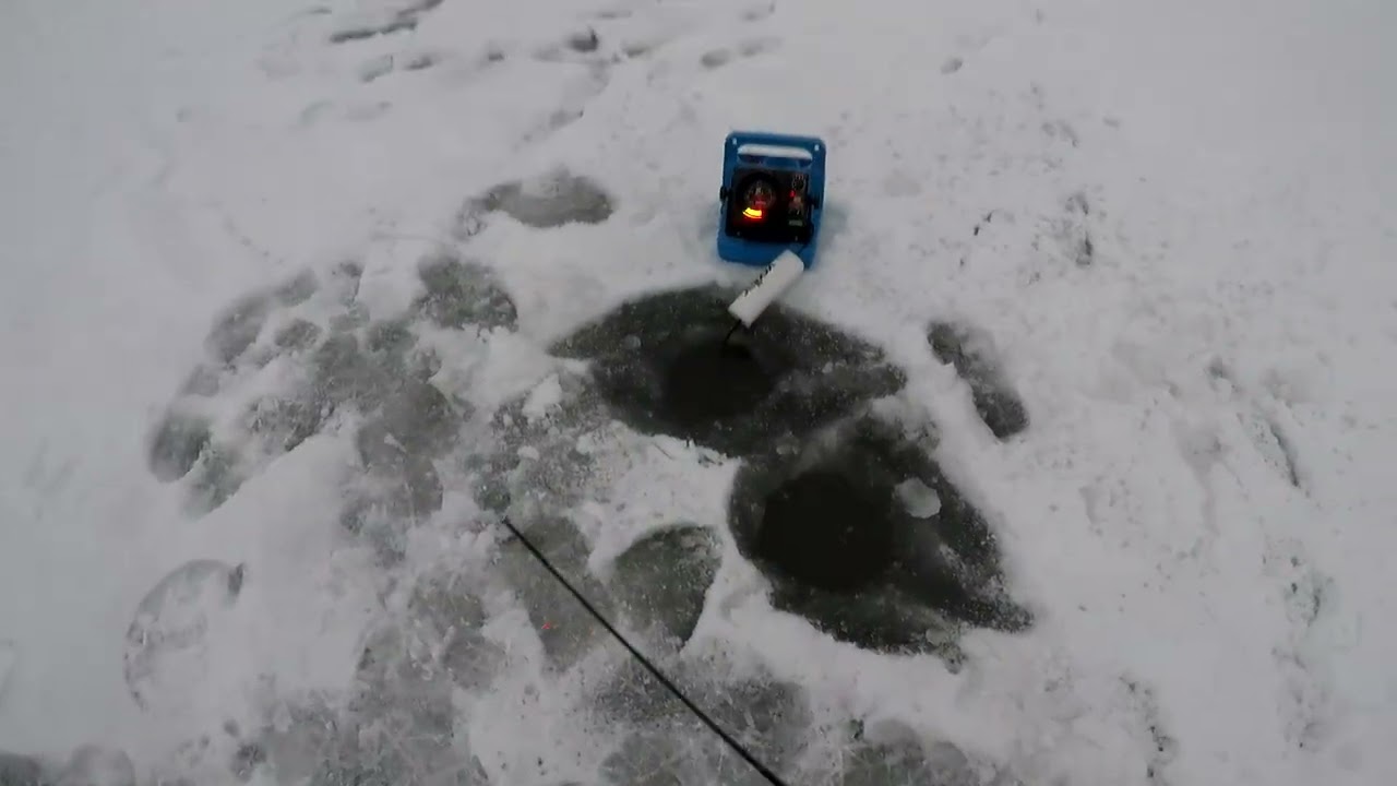 Ice fishing Sayer's Lake with Harry the Dancing Heron