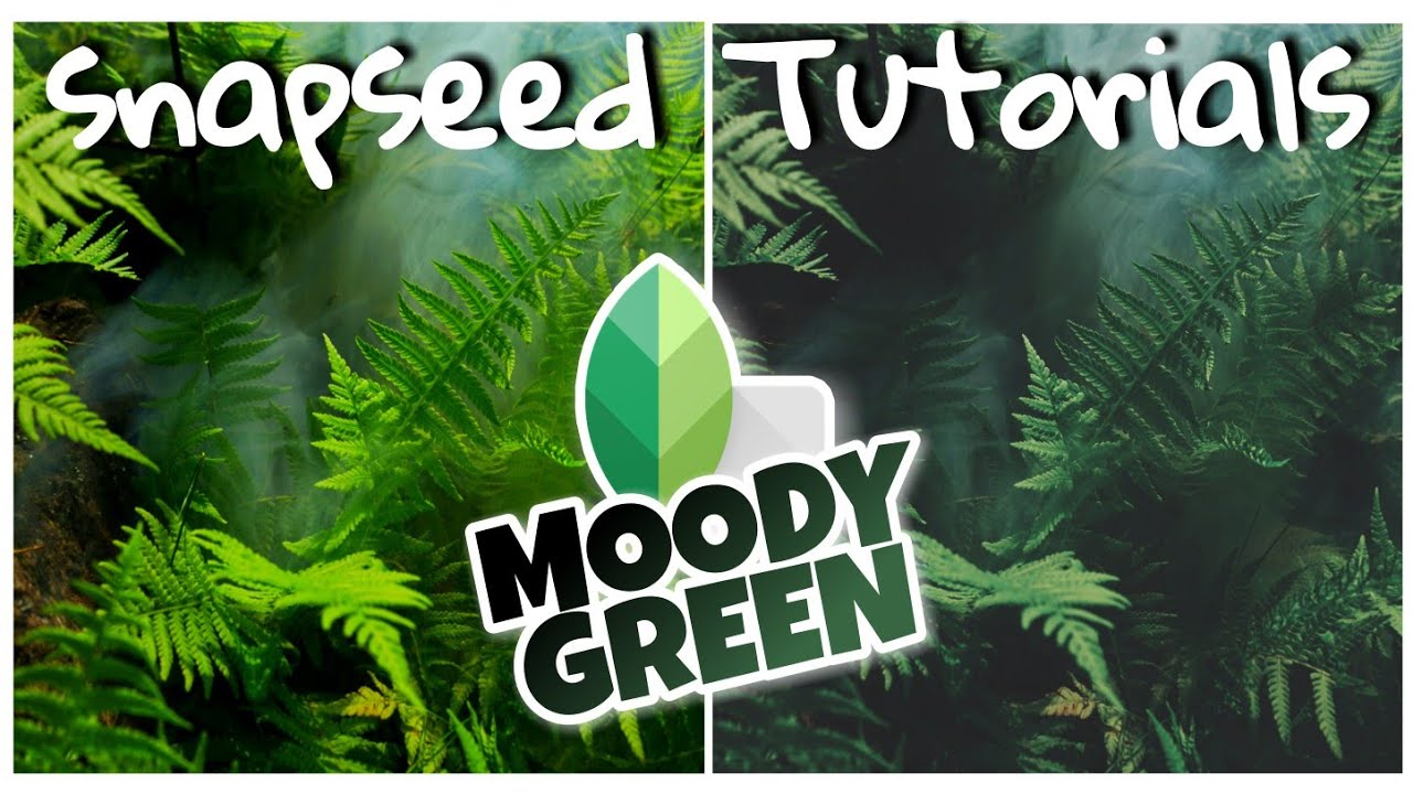 Moody Green  Photo Editing |  Snapseed Presets | Free Mobile Photo Editing