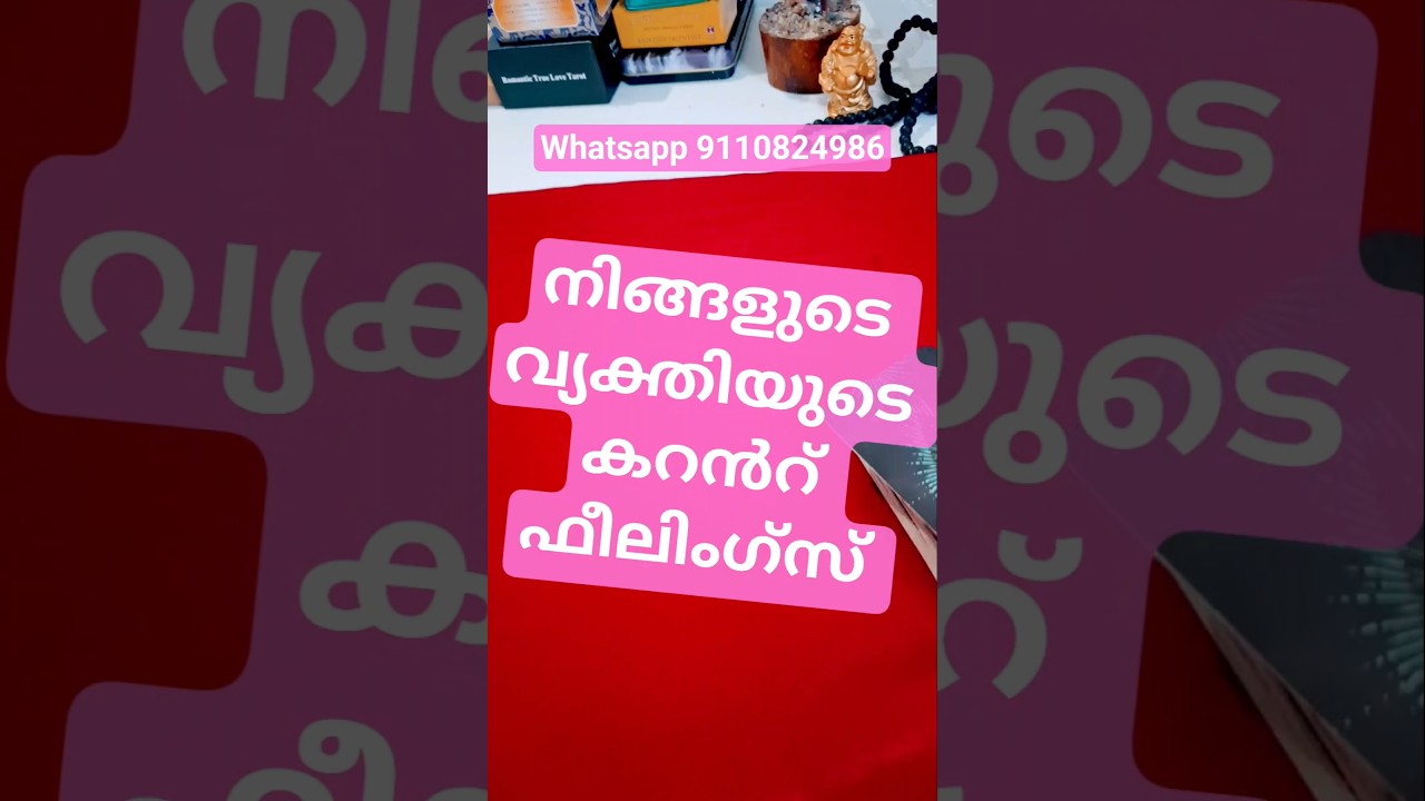 ❤️Your person's current feelings #tarot #tarotreading #oracle #timeless malayalam ❤️