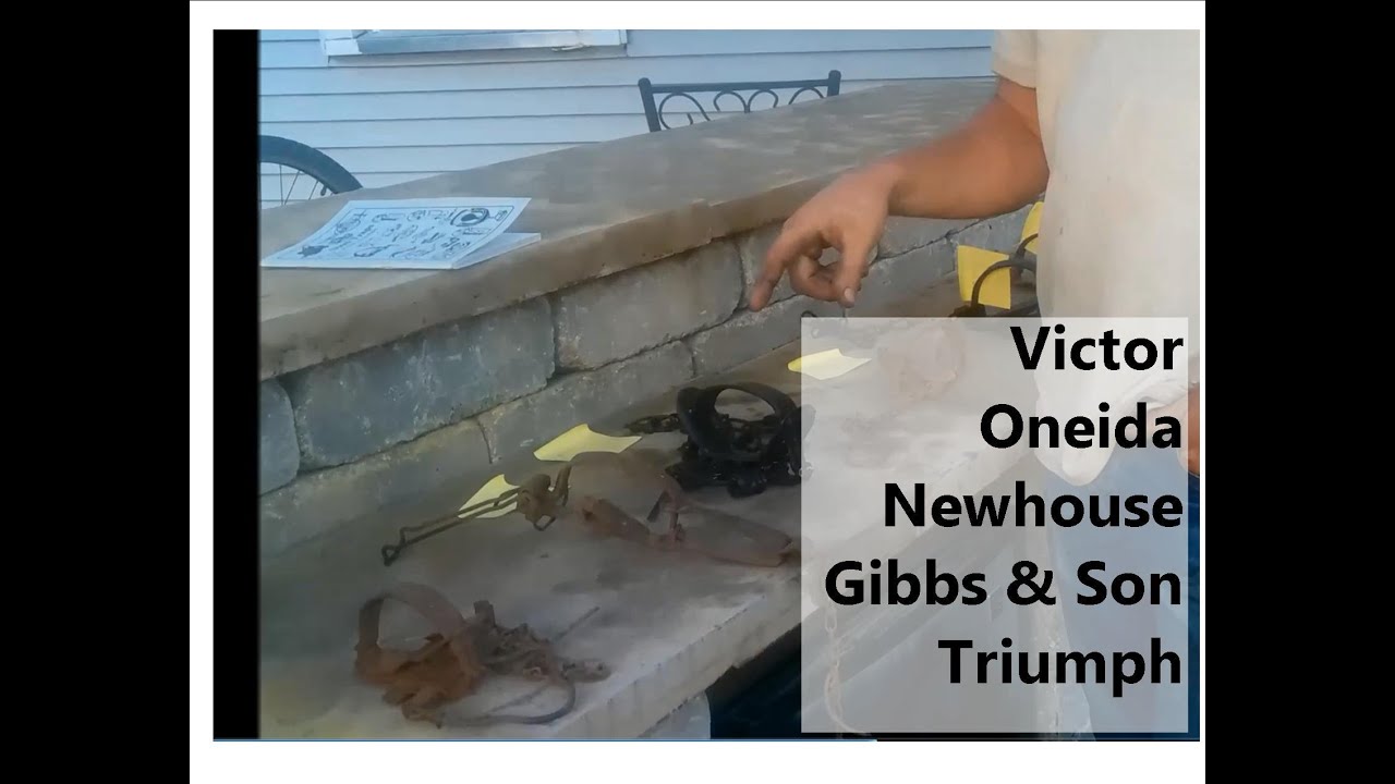 Vintage Animal Traps