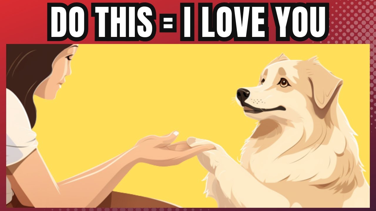 15 Ways to Tell Your Dog I Love You (So They Can Understand)