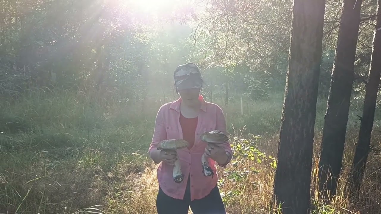 Po burzy, wspaniałe okazy !!!