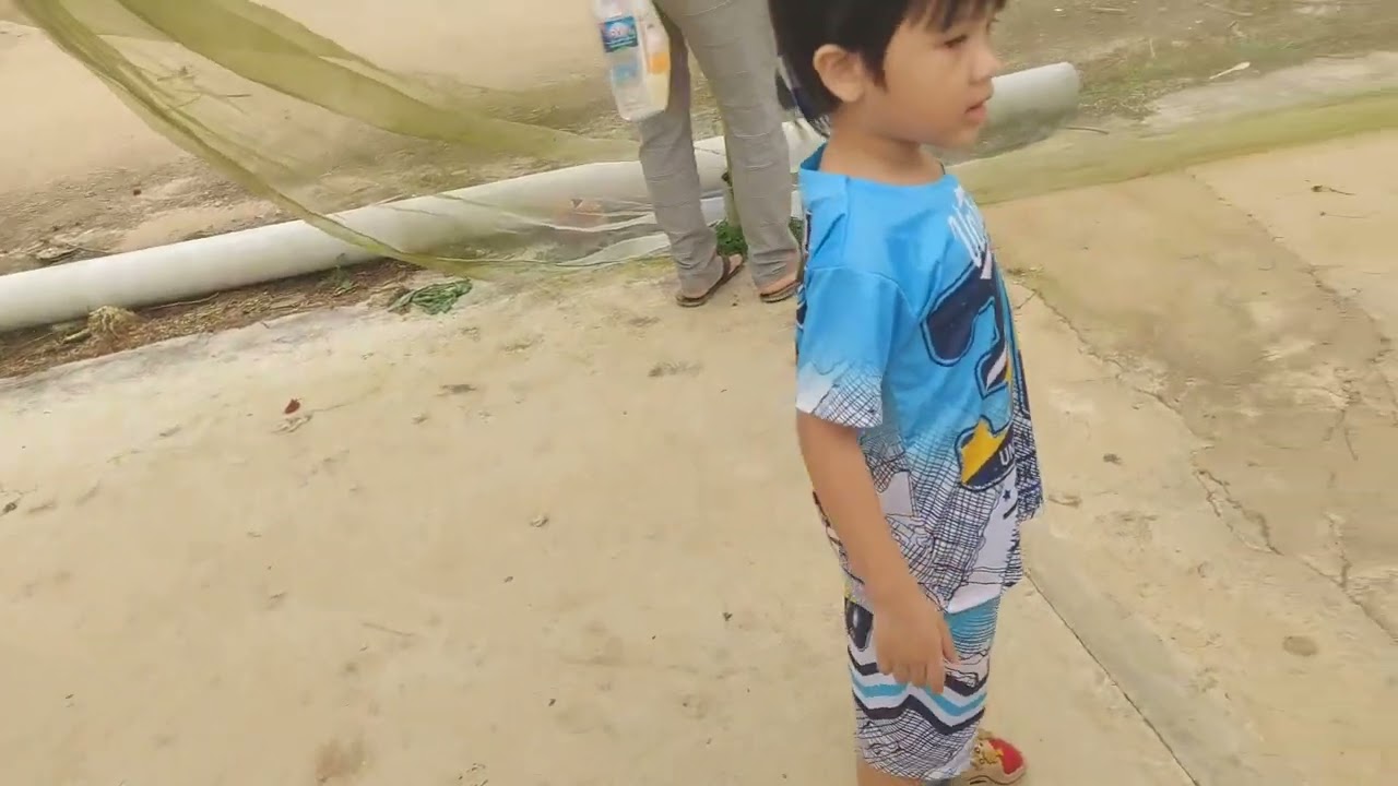 Vườn dâu chín mộng - puppy farm Đà Lạt 