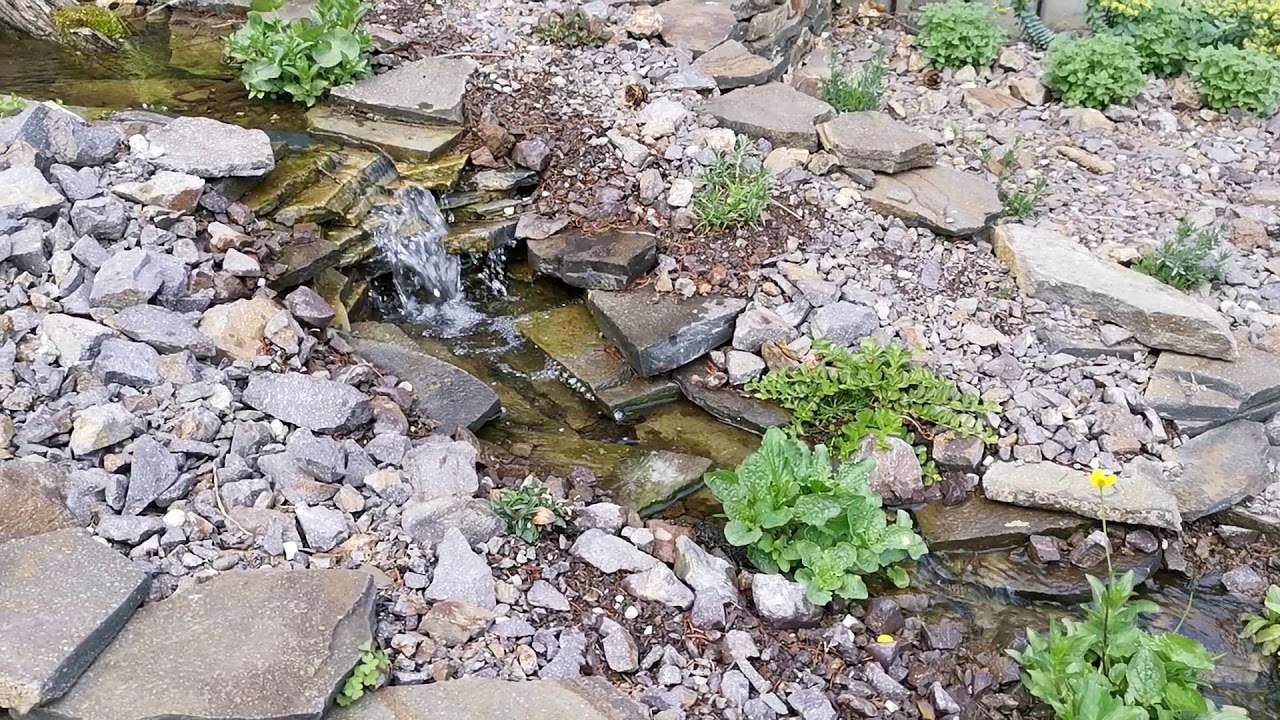 The garden creek
