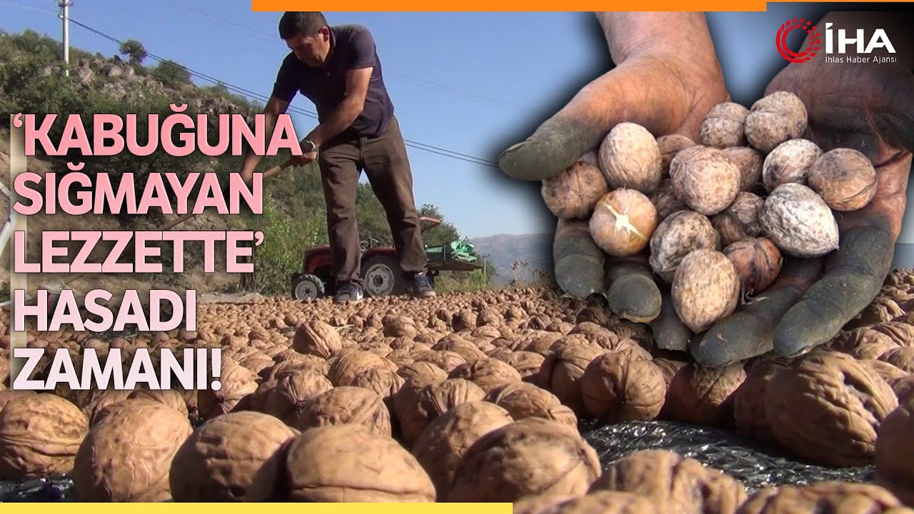 Çorum'un Meşhur 