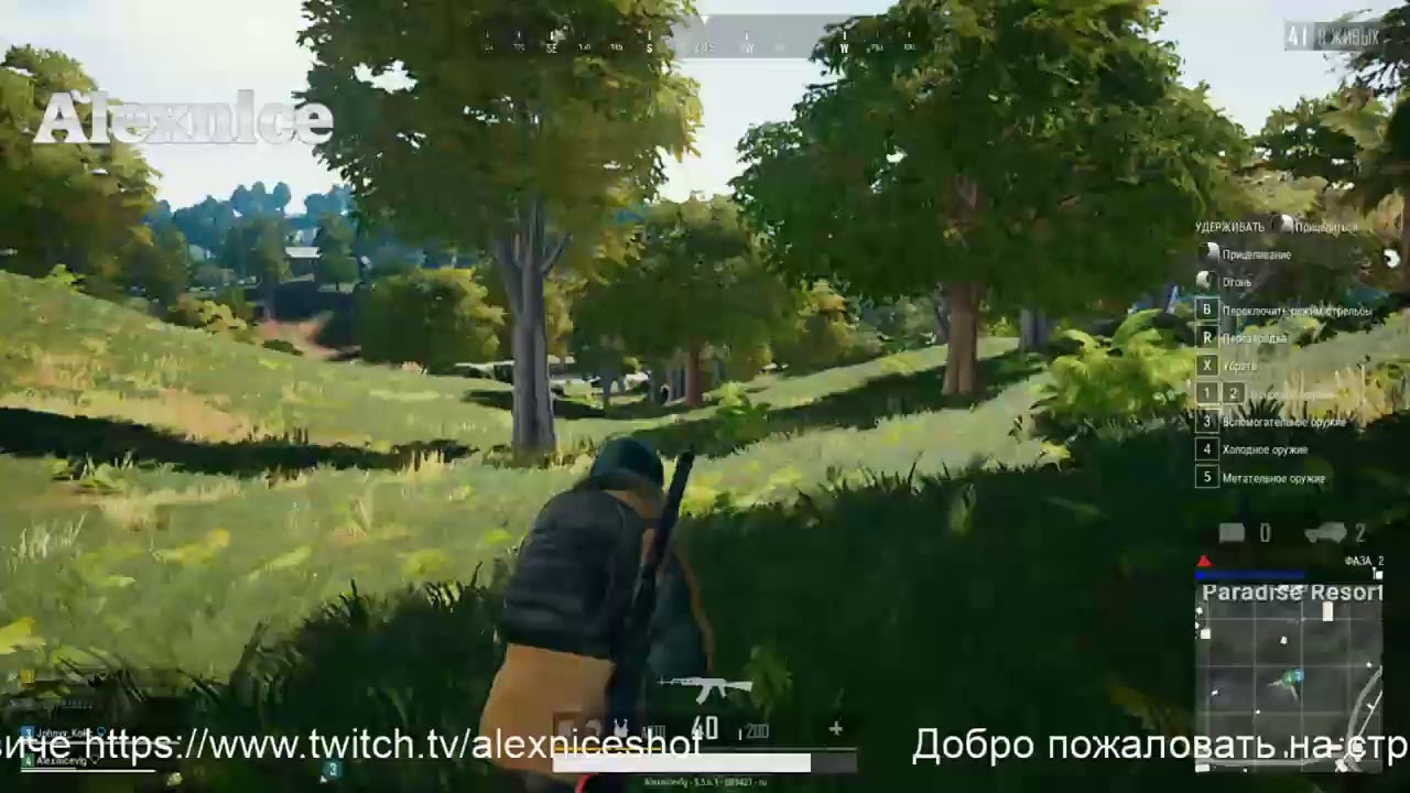 Alexnice play pubg