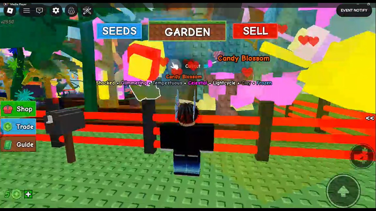 Playing Grow A Garden on Roblox