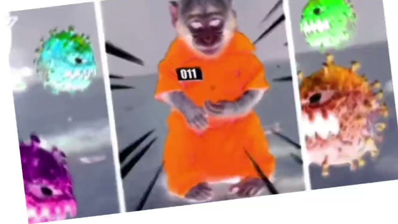 Monkey kiki virus color in g major 22