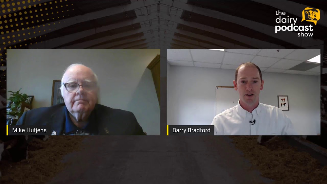Webinar - Cost of success: how to deal with high feed prices?