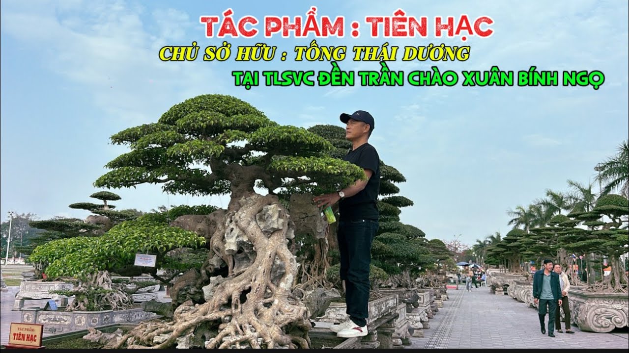 Nghệ nhân Nam Lê ấn tượng với TP ; TIÊN HẠC được trưng bày tsij TLSVC ĐÈN TRẦN | Quảng Tùng