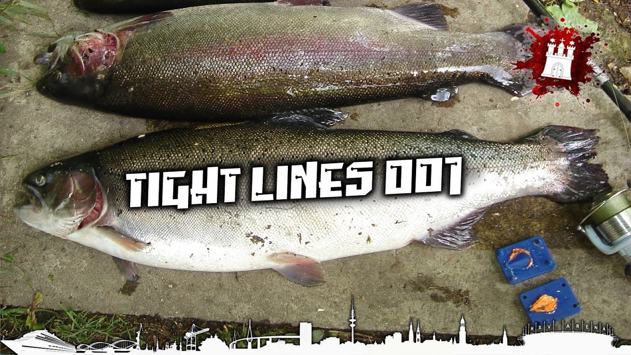 Angeln (fishing) am Forellensee Bissenmoor - Tight Lines 001 - (Rainbow-trout)