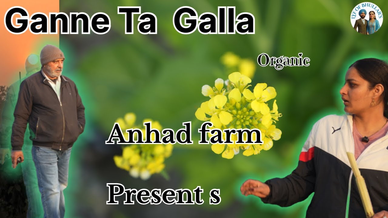  Ganne Ta Galla (Anhad farm) #viral #trending #canadadiaries #punjabisong 
