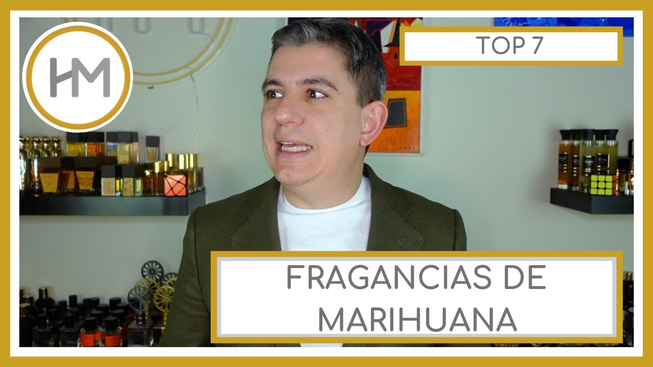 TOP 7 FRAGANCIAS DE CANNABIS. RESEÑA. ESPAÑOL