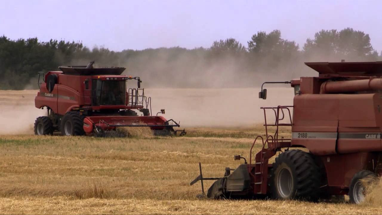 Swan Lake First Nation: A Community's Economic Success Story