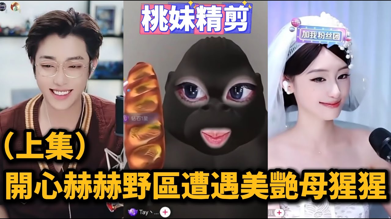 【元宇宙支線19集（上）】開猩赫赫野區遭遇美艷母猩猩，抽象鬥嘴互動（上）~/【DY開猩赫赫（開心元元的朋友們）】直播連麥整活切片/