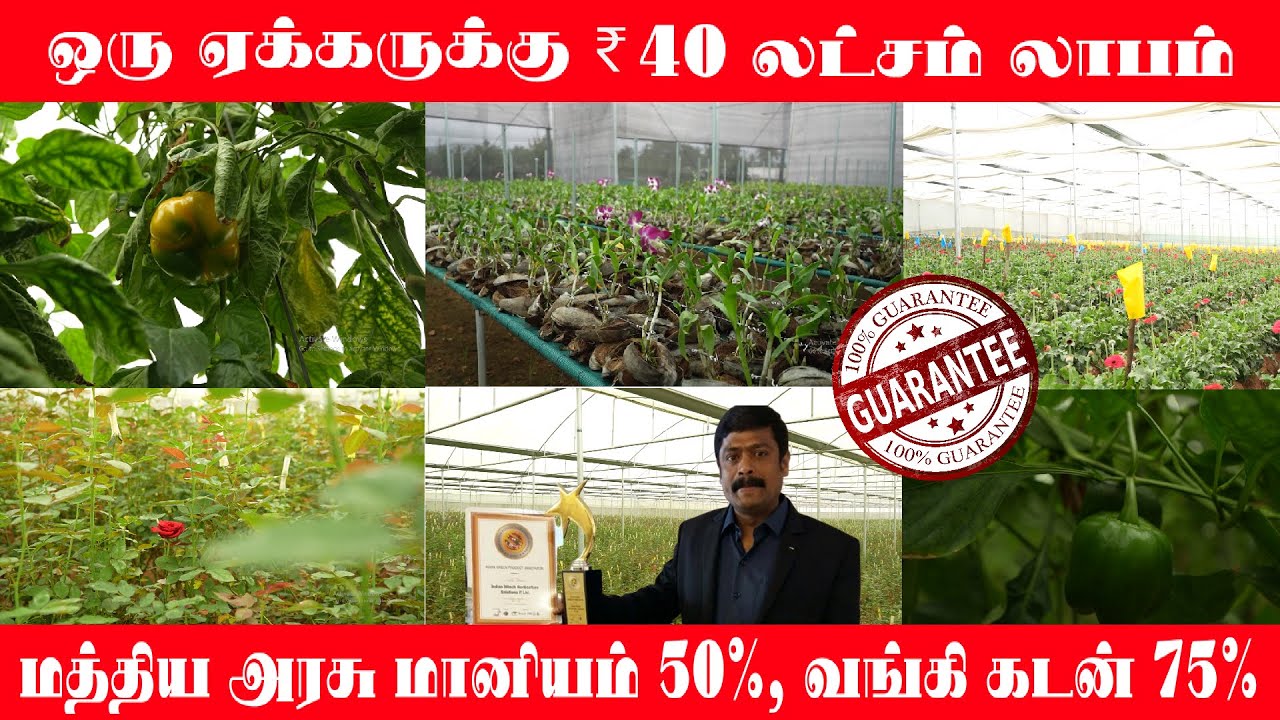 ஒரு ஏக்கருக்கு ₹ 40 லட்சம் சம்பாதிக்கலாம் !!! Govt Subsidy 50% | Bank Loan 75%