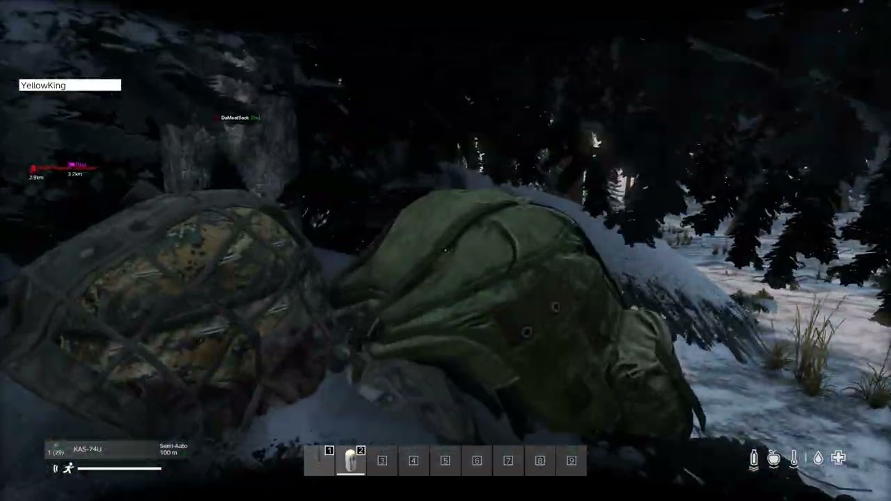 Ladies and Gentleman.. I give you the dumbest DayZ cheater EVER.