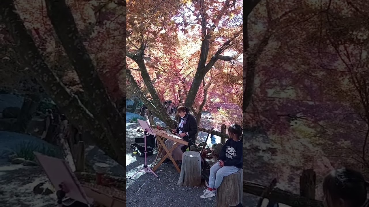 autumn music in Unzen,Japan 