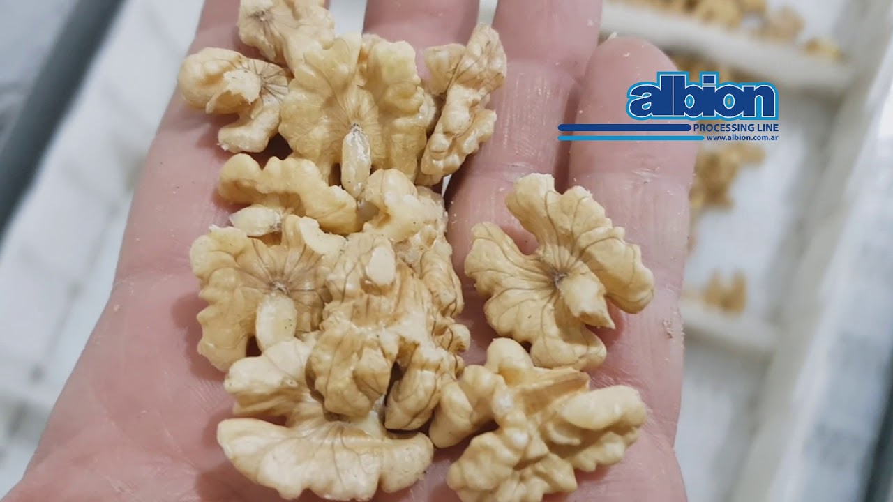 ALBION - Línea de partido mecánico de nueces y selección de pulpa