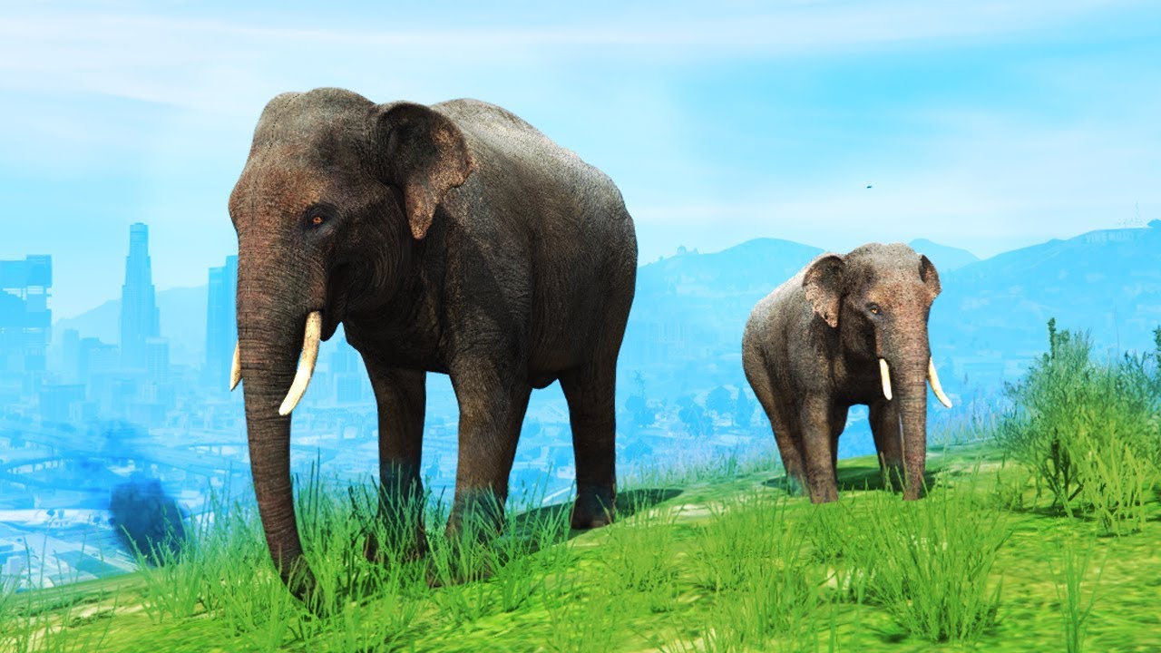 GTA 5 - PLAYING as an ELEPHANT! (GTA 5 Mods)
