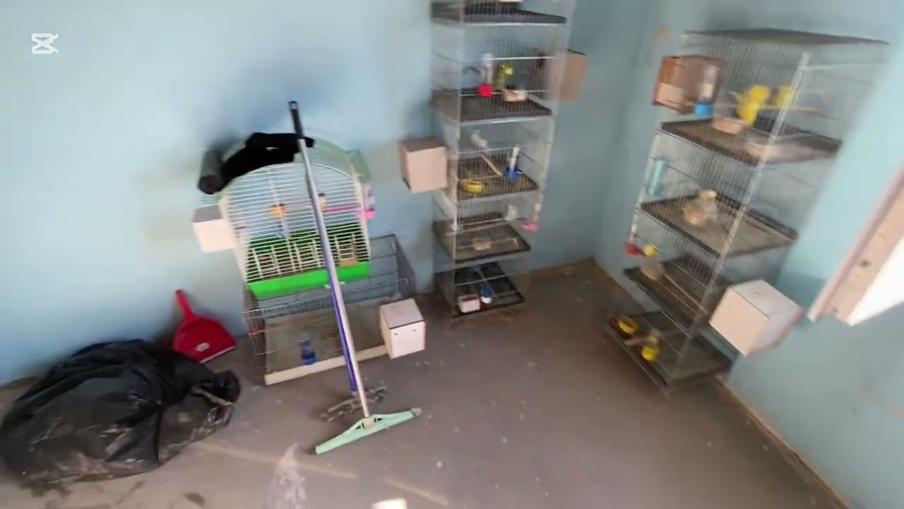Ucuz Malzemelerle Bıldırcın Kuluçka Makinesi Yapımı (Herkes Yapabilir)