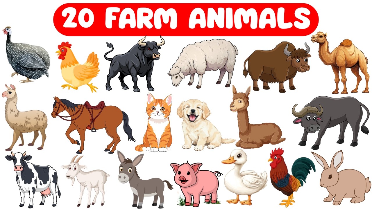Farm Animals for Kids | Learn Farm Animal Names with Vidoes| Cow, Sheep, Hen, Horse & More 🐄🐑🐔
