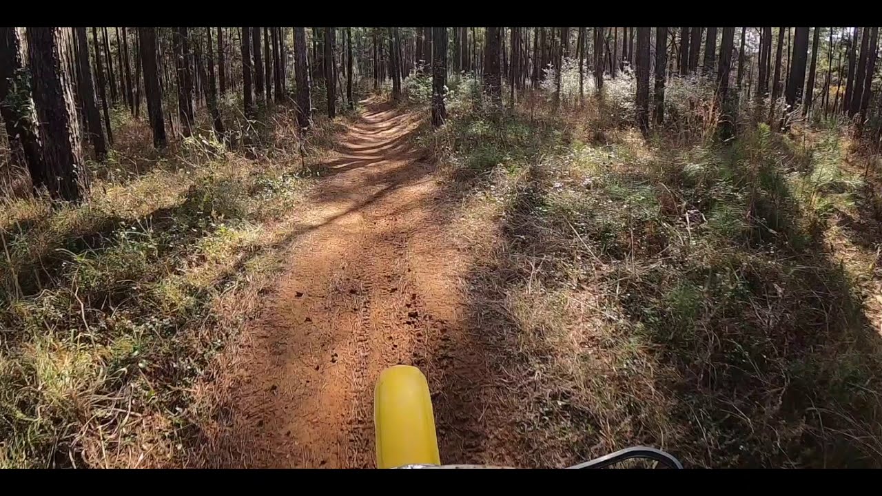 National Forest | &rsquo;79 PE175