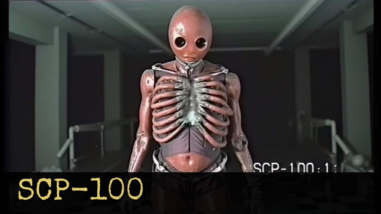 SCP-100 Jamaican Joes Junkyard Jubilee
