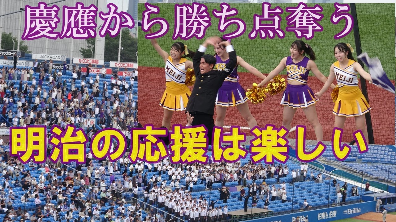 【明治大学応援団チアリーダー】6回攻撃の応援　東京六大学野球春季リーグ対慶大2回戦　2024.5 .19（日）神宮球場