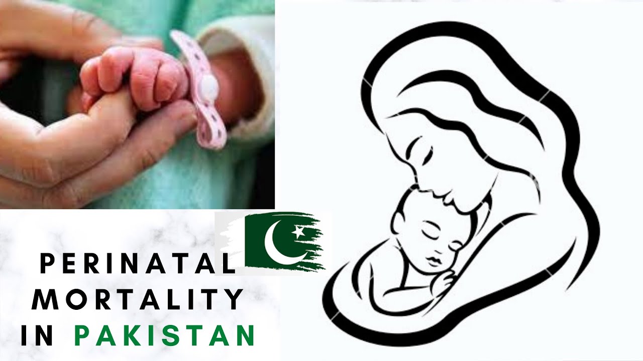 Perinatal Mortality In Pakistan | Pakistan Demographic And Health Survey | 009 | MedCast Disrupt