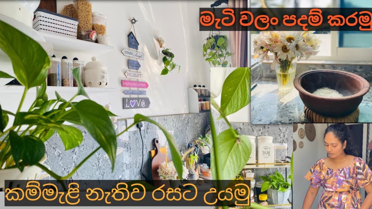 රසට උයමු 01/ මැටි වලං පදම් කරමු/ In My Balcony Kitchen 👩‍🍳🤤🥥🥔 #viralvideo #kitchen #cooking 